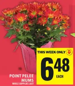 Food Basics POINT PELEE MUMS offer