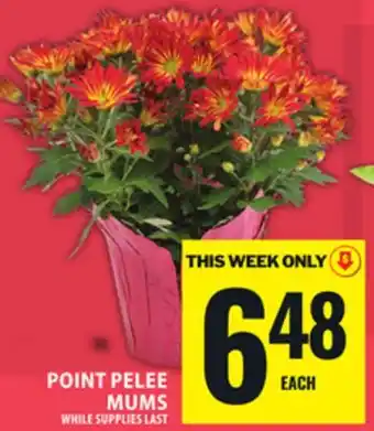 Food Basics POINT PELEE MUMS offer