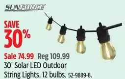 Canadian Tire 30´ Solar LED Outdoor String Lights offer