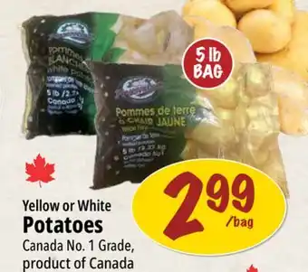 Farm Boy Yellow or White Potatoes offer