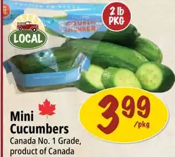Farm Boy Mini Cucumbers offer