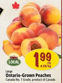 Farm Boy Large Ontario-Grown Peaches offer