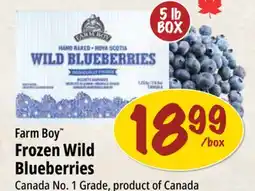 Farm Boy Farm Boy Frozen Wild Blueberries offer