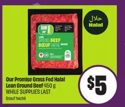 Chalo FreshCo Our Promise Grass Fed Halal Lean Ground Beef 450 g offer