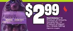 Chalo FreshCo Red Onions 7 lb Product of Ontario, Canada No. 1 or Product of Egypt No. 1 Grade 3.18 kg offer