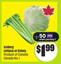 FreshCo Iceberg Lettuce or Celery Product of Canada Canada No. 1 offer