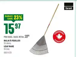 BMR BALAI À FEUILLES offer