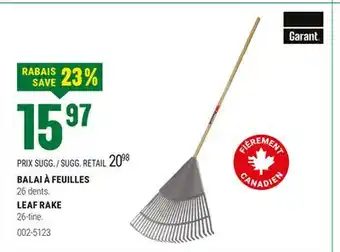 BMR BALAI À FEUILLES offer