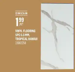 Canac Vinyl Flooring offer