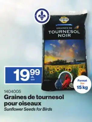 Patrick Morin Sunflower Seeds for Birds offer