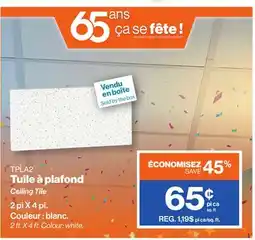 Patrick Morin Ceiling tile offer
