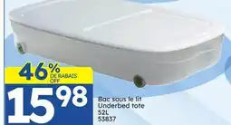 Rossy Underbed tote offer