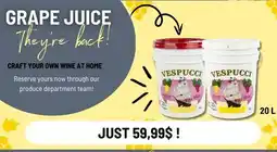 Mayrand Grape Juice for Wine 20 L Vespucci offer
