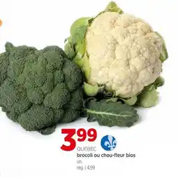 Avril brocoli ou chou-fleur bios offer