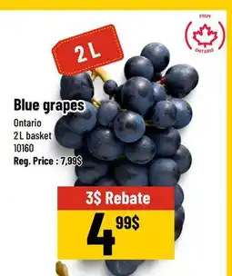Mayrand Blue Grape Basket 2 L offer