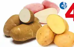 Avril pommes de terre blanches, jaunes ou rouges bios offer