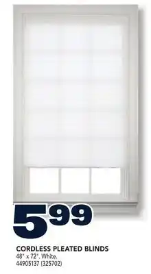 RONA CORDLESS PLEATED BLINDS offer