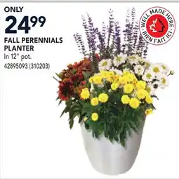 RONA FALL PERENNIALS PLANTER offer