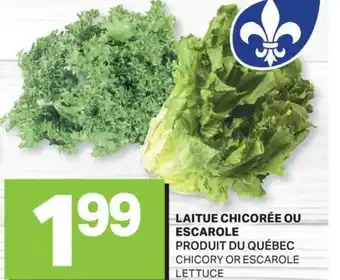 L'Intermarché LAITUE CHICORÉE OU ESCAROLE | CHICORY OR ESCAROLE LETTUCE offer