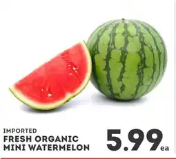 IGA Imported fresh organic mini watermelon offer