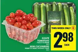 Food Basics Grape Tomatoes / Mini Cucumbers offer