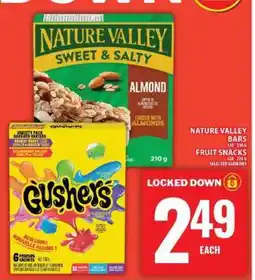 Food Basics Nature Valley Bars / Fruit Snacks offer
