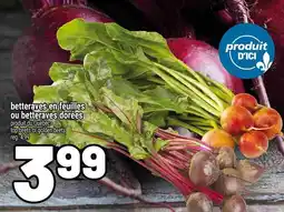 Metro Top beets or golden beets offer