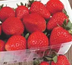IGA Strawberries clamshell offer