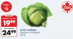 Wholesale Club Green Cabbage offer