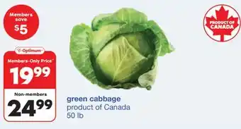 Wholesale Club Green Cabbage offer