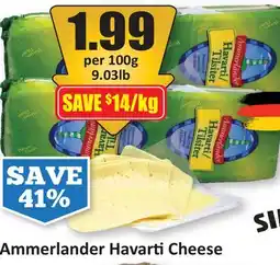 Starsky Ammerlander Havarti Cheese offer