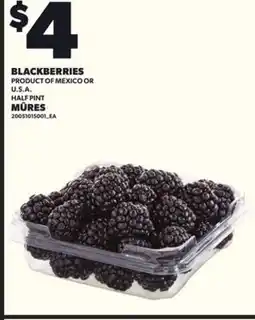 Independent City Market BLACKBERRIES, HALF PINT offer