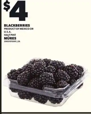 Independent City Market BLACKBERRIES, HALF PINT offer