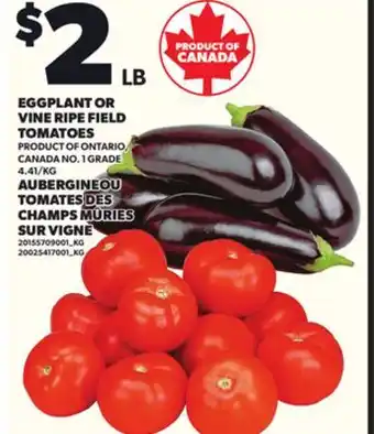 Independent City Market EGGPLANT OR VINE RIPE FIELD TOMATOES offer