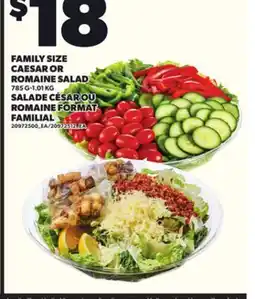 Independent City Market FAMILY SIZE CAESAR OR ROMAINE SALAD, 785 G-1.01 KG offer