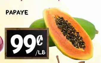 Marche Salaberry PAPAYE offer
