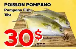 Marche Salaberry POISSON POMPANO offer