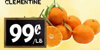 Marche Salaberry CLÉMENTINE offer
