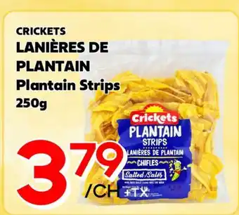 Marche Salaberry CRICKETS LANIÈRES DE PLANTAIN offer