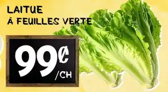 Marche Salaberry LAITUE À FEUILLES VERTE offer