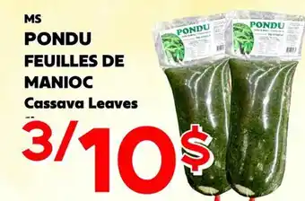 Marche Salaberry MS PONDU FEUILLES DE MANIOC offer