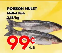 Marche Salaberry POISSON MULET offer