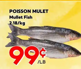 Marche Salaberry POISSON MULET offer