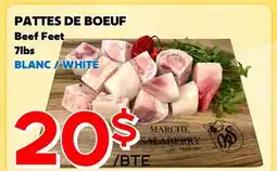 Marche Salaberry PATTES DE BOEUF offer