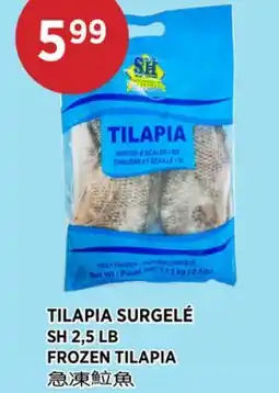 Kim Phat SH FROZEN TILAPIA offer