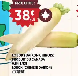 Kim Phat LOBOK (CHINESE DAIKON) offer