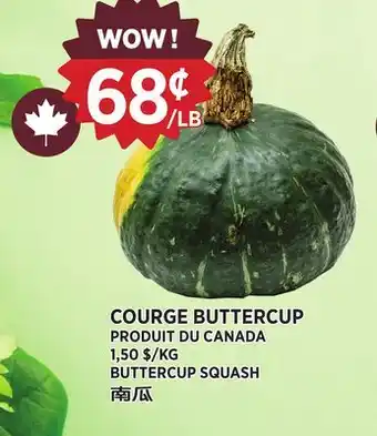 Kim Phat BUTTERCUP SQUASH offer