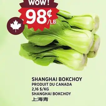 Kim Phat SHANGHAI BOKCHOY offer