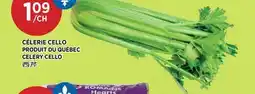 Kim Phat CELERY CELLO offer