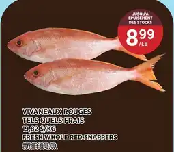 Kim Phat FRESH WHOLE RED SNAPPERS offer